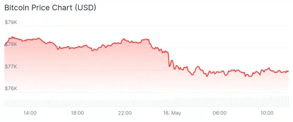 Bitcoin price 24-hour chart.