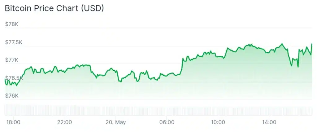 Bitcoin price 24-hour chart.