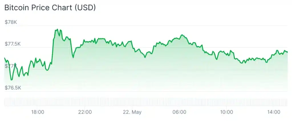 Bitcoin price 24-hour chart.