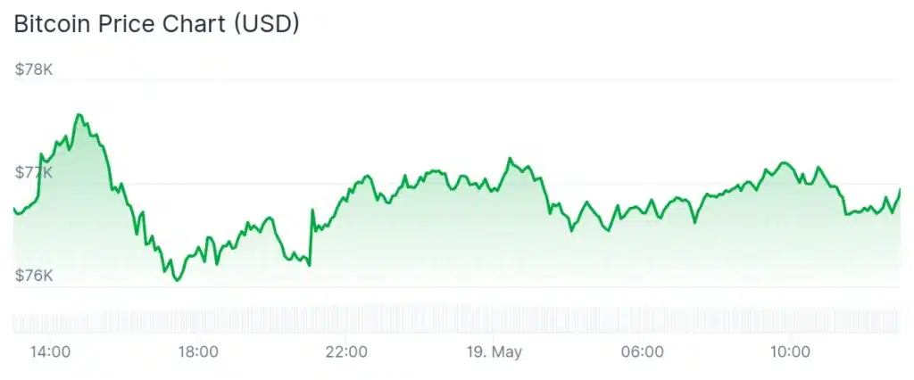 Bitcoin price 24-hour chart.