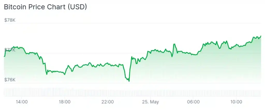 Bitcoin 24-hour chart.