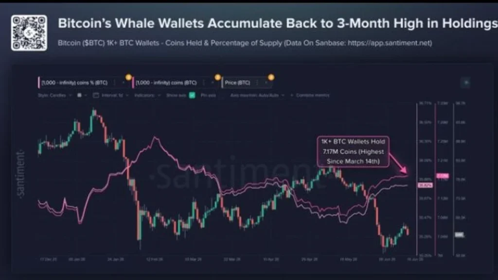 Bitcoin's Biggest Players Are Preparing for Something