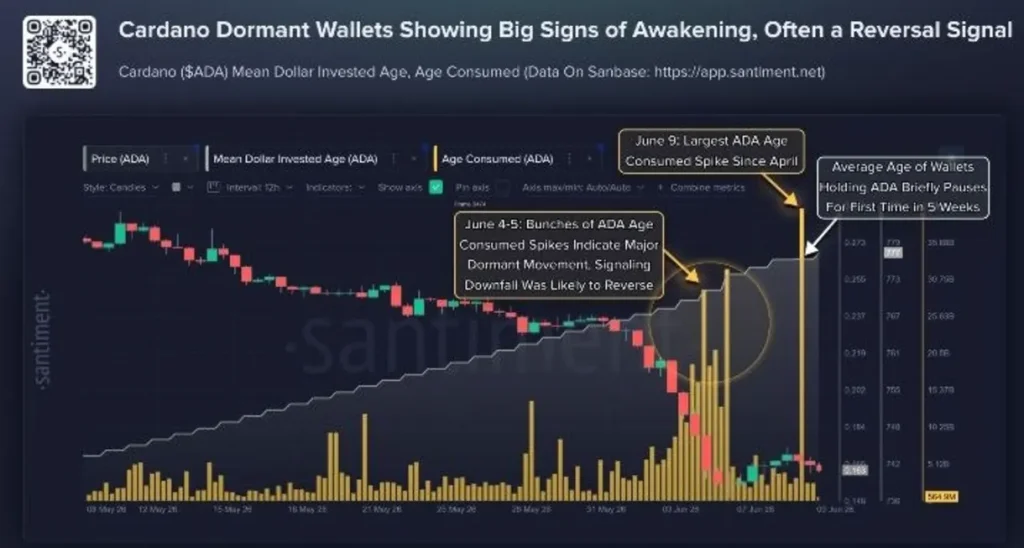 A Rare Cardano Signal Just Appeared for the First Time in Weeks