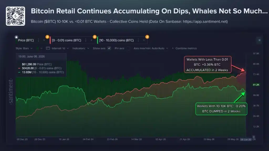 Bitcoin retail vs. whales.