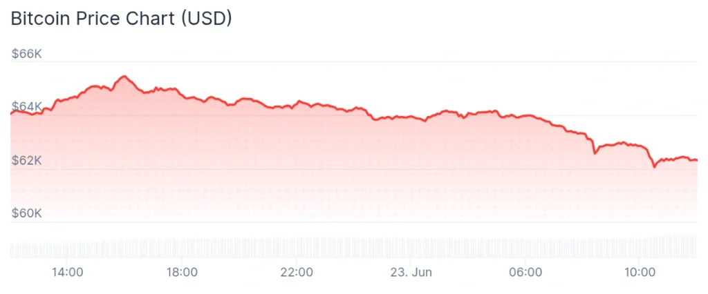Bitcoin price 24-hour chart.