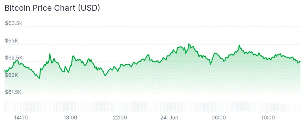 Bitcoin price 24-hour chart.
