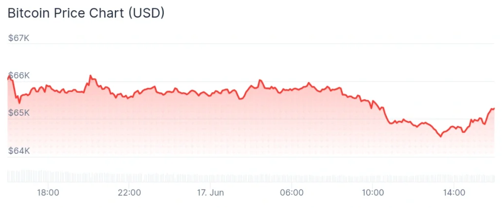 Bitcoin price 24-hour chart.