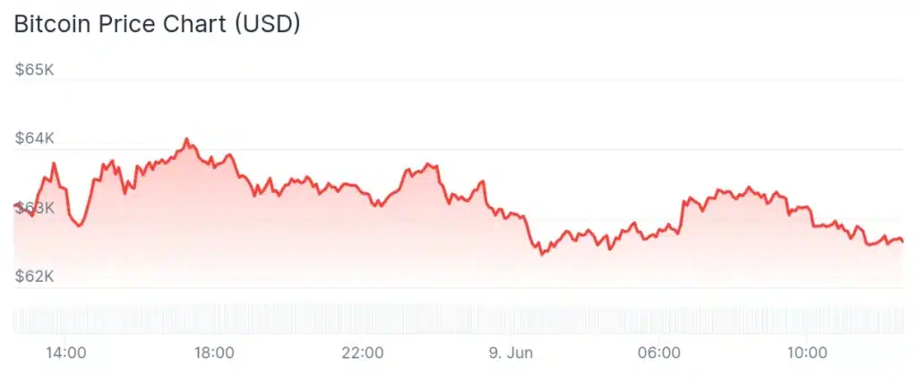Bitcoin price 24-hour chart.