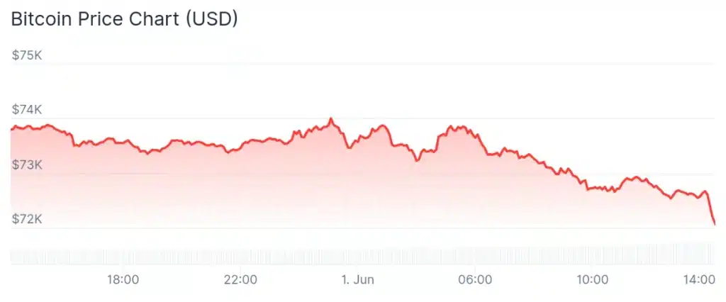 Bitcoin price 24-hour chart.