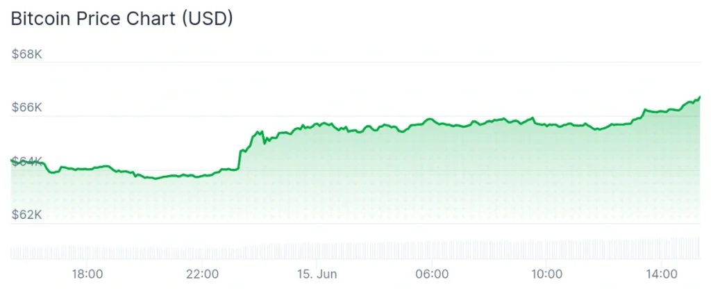 Bitcoin price 24-hour chart.