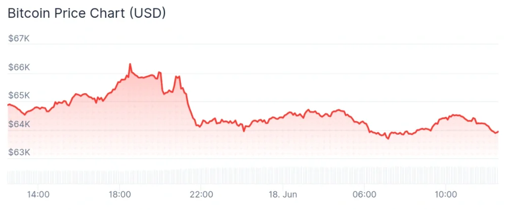 Bitcoin price 24-hour chart.