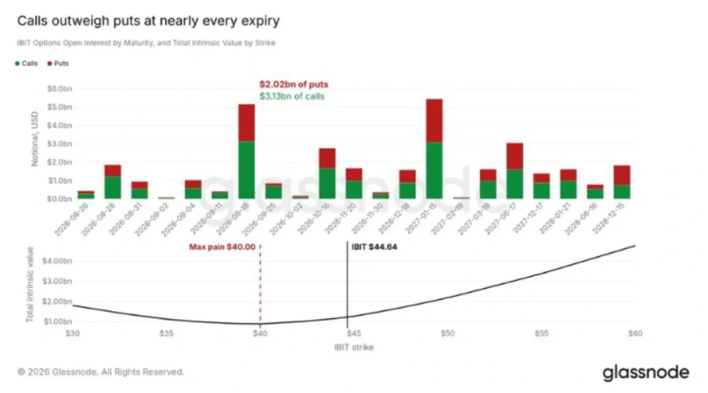 Bitcoin's Next Big Test Emerges As $5B In IBIT Options Near Expiry