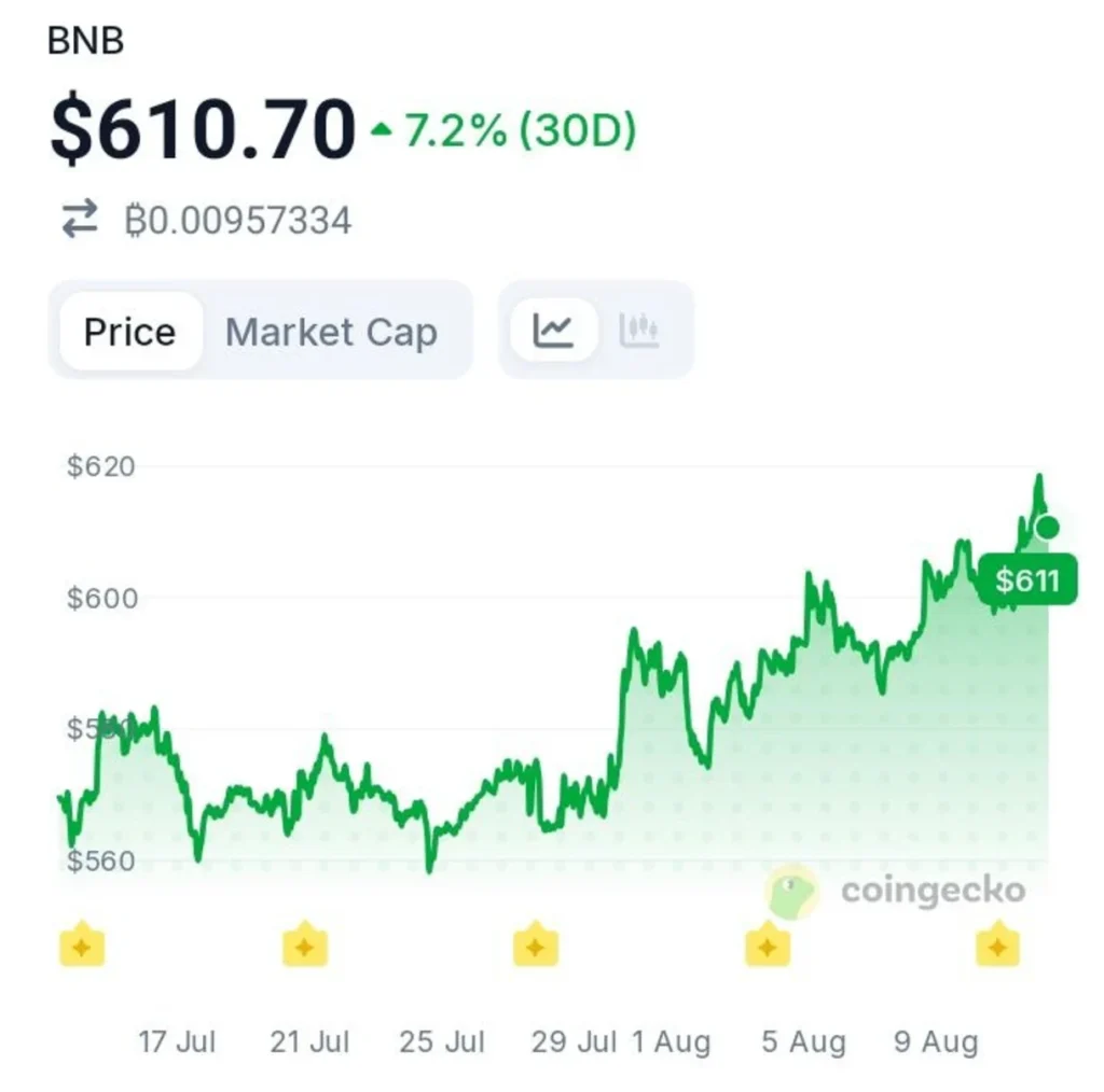 BNB Chain Records a Massive Stablecoin Milestone — What's Next?