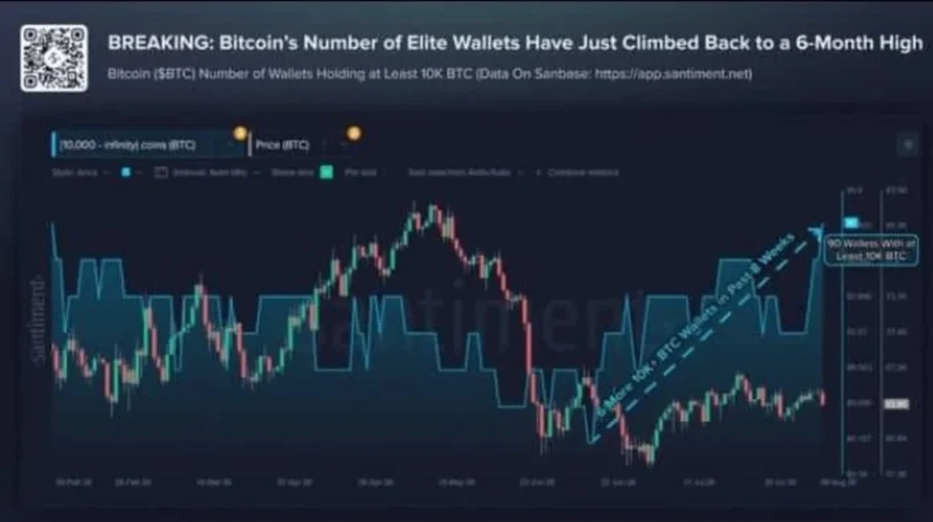 Bitcoin's Biggest Holders Are Quietly Sending a Signal — What Comes Next?