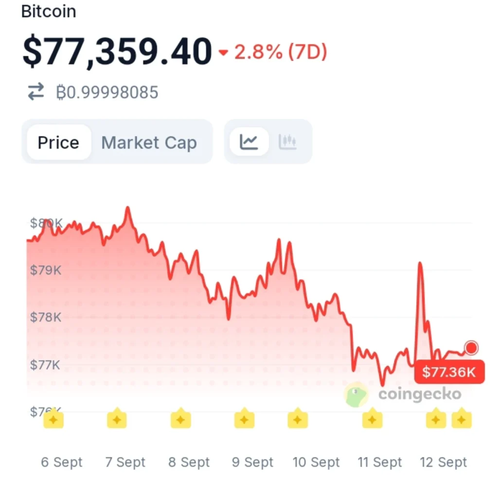 Morgan Stanley Adds Again as Its Bitcoin ETF Builds a $50M Accumulation Streak