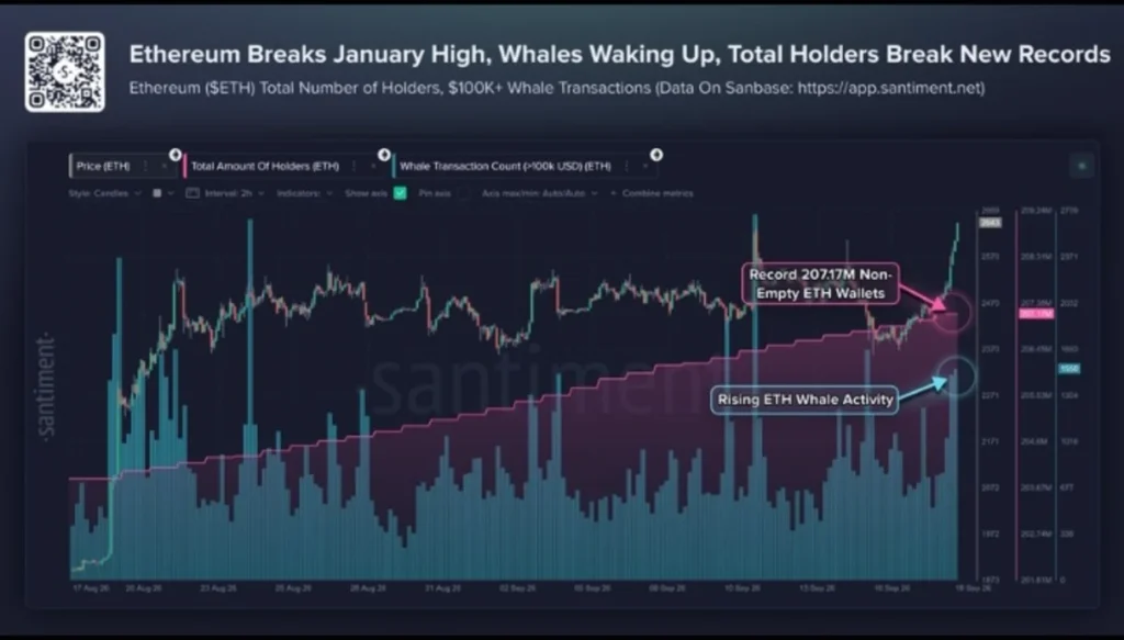 Ethereum Breaks Its January High: Whales Are Waking Up